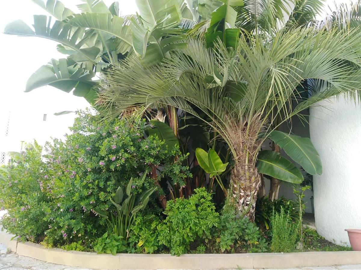 Garden View Vilamoura Apartment エクステリア 写真